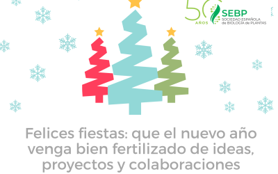 ¡Felices Fiestas!