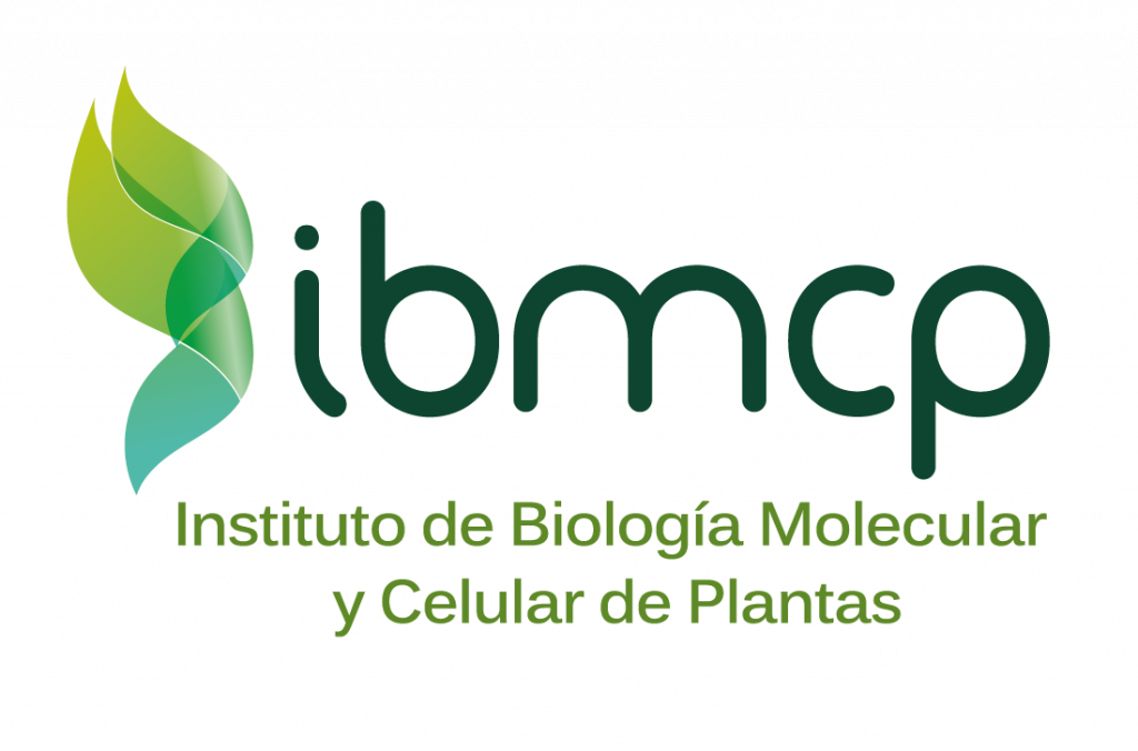 ibmcp