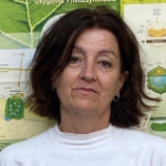 Nieves Fernández García