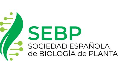 Becas SEBP para la XVII Reunión de Biología Molecular de Plantas 2024