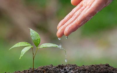 ¿Eres un friki de las plantas?